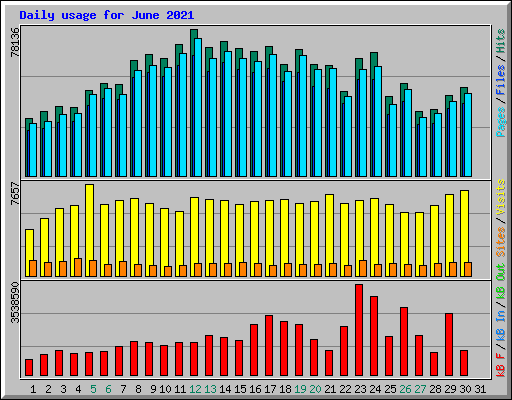 Daily usage for June 2021