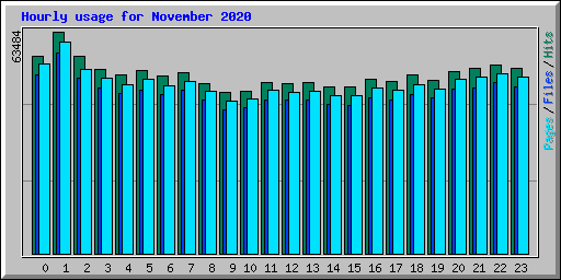 Hourly usage for November 2020