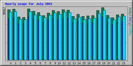 Hourly usage for July 2021